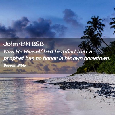 Picture 02 - John 4:44 BSB - Now He Himself had testified that a prophet has - Bible Verse Picture