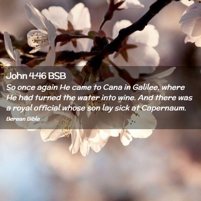 Picture 02 - John 4:46 BSB - So once again He came to Cana in Galilee, where - Bible Verse Picture