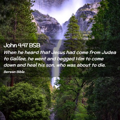 Picture 02 - John 4:47 BSB - When he heard that Jesus had come from Judea to - Bible Verse Picture