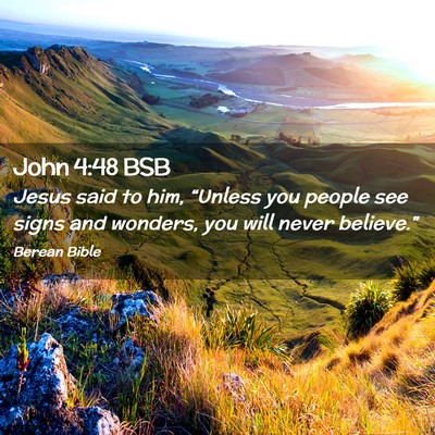 Picture 02 - John 4:48 BSB - Jesus said to him, “Unless you people see signs - Bible Verse Picture
