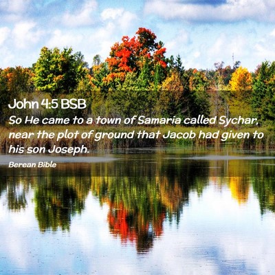 Picture 02 - John 4:5 BSB - So He came to a town of Samaria called Sychar, - Bible Verse Picture