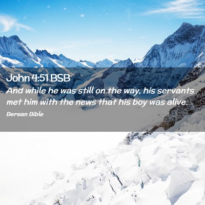 Picture 02 - John 4:51 BSB - And while he was still on the way, his servants - Bible Verse Picture
