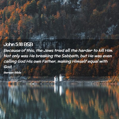 Picture 02 - John 5:18 BSB - Because of this, the Jews tried all the harder to - Bible Verse Picture