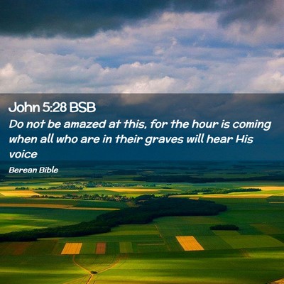 Picture 02 - John 5:28 BSB - Do not be amazed at this, for the hour is coming - Bible Verse Picture