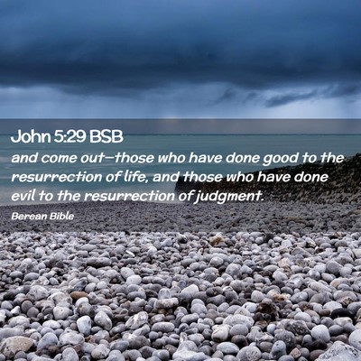 Picture 02 - John 5:29 BSB - and come out—those who have done good to the - Bible Verse Picture