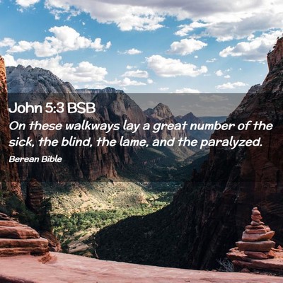Picture 02 - John 5:3 BSB - On these walkways lay a great number of the sick, - Bible Verse Picture