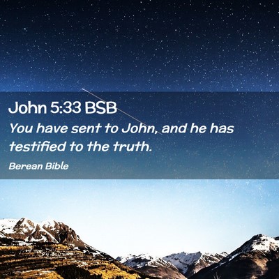 Picture 02 - John 5:33 BSB - You have sent to John, and he has testified to - Bible Verse Picture