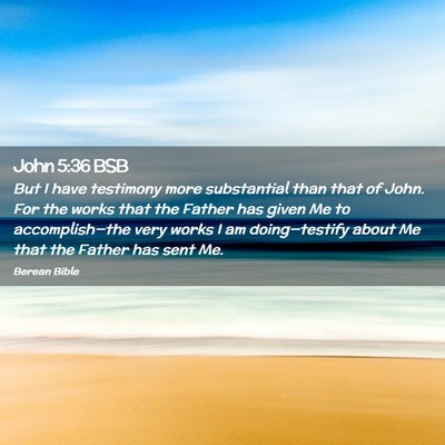 Picture 02 - John 5:36 BSB - But I have testimony more substantial than that - Bible Verse Picture