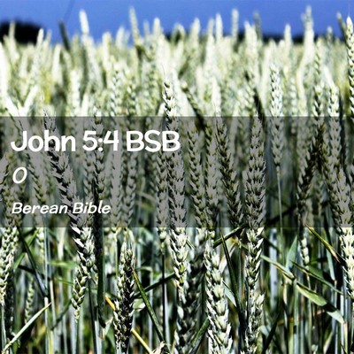 Picture 02 - John 5:4 BSB -  - Bible Verse Picture