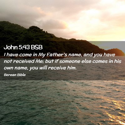Picture 02 - John 5:43 BSB - I have come in My Father’s name, and you have - Bible Verse Picture