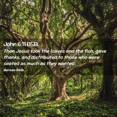 Picture 02 - John 6:11 BSB - Then Jesus took the loaves and the fish, gave - Bible Verse Picture