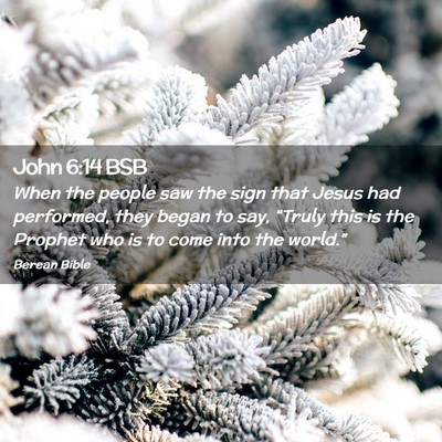 Picture 02 - John 6:14 BSB - When the people saw the sign that Jesus had - Bible Verse Picture