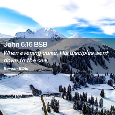Picture 02 - John 6:16 BSB - When evening came, His disciples went down to the - Bible Verse Picture