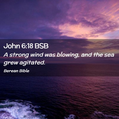 Picture 02 - John 6:18 BSB - A strong wind was blowing, and the sea grew - Bible Verse Picture