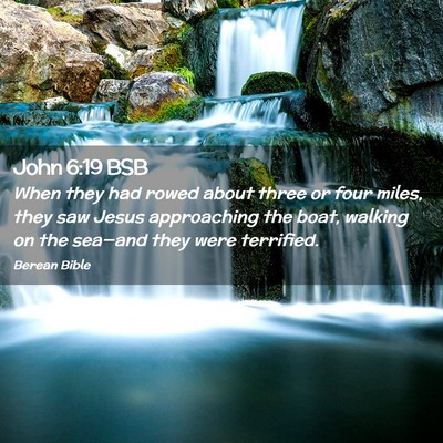 Picture 02 - John 6:19 BSB - When they had rowed about three or four miles, - Bible Verse Picture