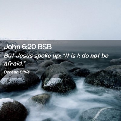 Picture 02 - John 6:20 BSB - But Jesus spoke up: “It is I; do not be - Bible Verse Picture