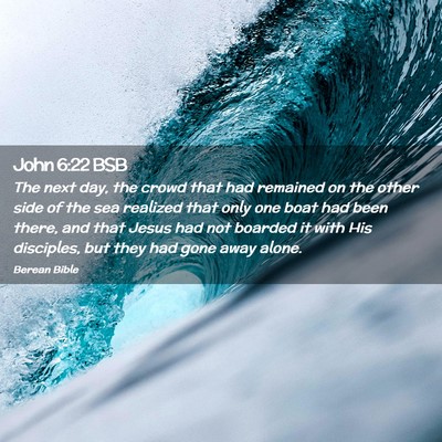 Picture 02 - John 6:22 BSB - The next day, the crowd that had remained on the - Bible Verse Picture