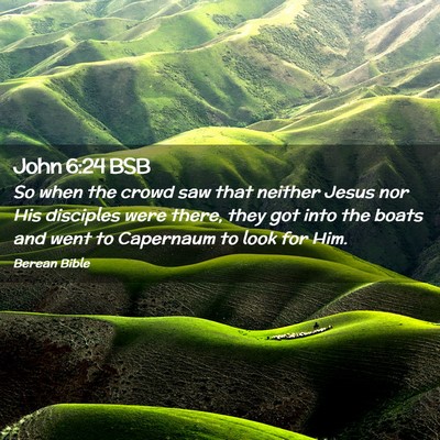 Picture 02 - John 6:24 BSB - So when the crowd saw that neither Jesus nor His - Bible Verse Picture