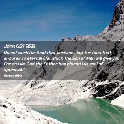 Picture 02 - John 6:27 BSB - Do not work for food that perishes, but for food - Bible Verse Picture