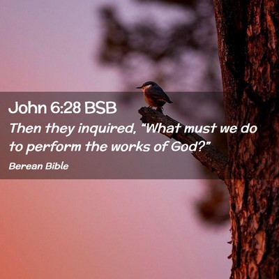 Picture 02 - John 6:28 BSB - Then they inquired, “What must we do to perform - Bible Verse Picture