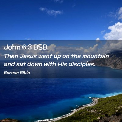 Picture 02 - John 6:3 BSB - Then Jesus went up on the mountain and sat down - Bible Verse Picture