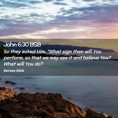 Picture 02 - John 6:30 BSB - So they asked Him, “What sign then will You - Bible Verse Picture