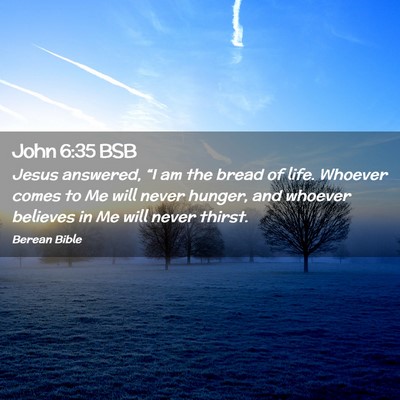 Picture 02 - John 6:35 BSB - Jesus answered, “I am the bread of life. - Bible Verse Picture