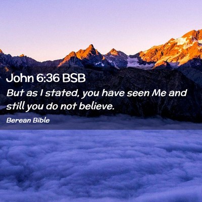 Picture 02 - John 6:36 BSB - But as I stated, you have seen Me and still you - Bible Verse Picture