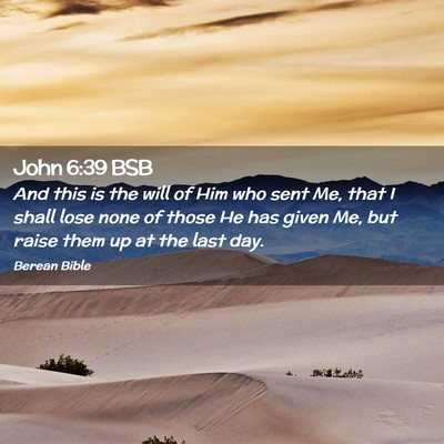 Picture 02 - John 6:39 BSB - And this is the will of Him who sent Me, that I - Bible Verse Picture