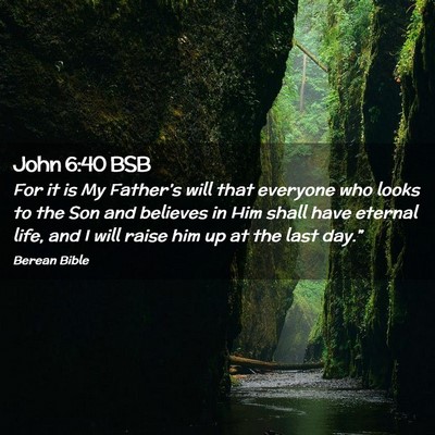 Picture 02 - John 6:40 BSB - For it is My Father’s will that everyone who - Bible Verse Picture