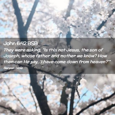 Picture 02 - John 6:42 BSB - They were asking, “Is this not Jesus, the son - Bible Verse Picture