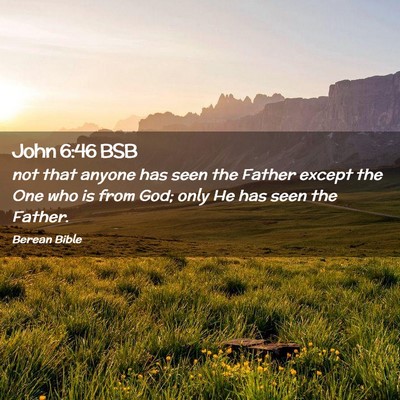 Picture 02 - John 6:46 BSB - not that anyone has seen the Father except the - Bible Verse Picture
