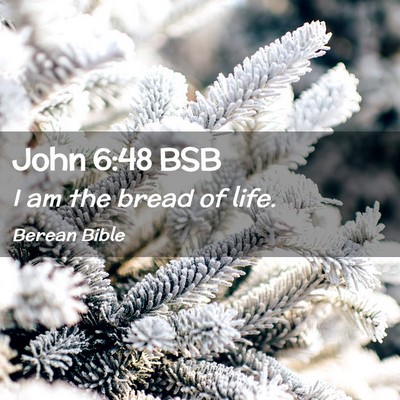 Picture 02 - John 6:48 BSB - I am the bread of - Bible Verse Picture