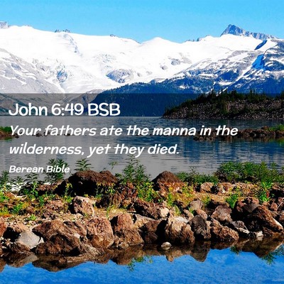 Picture 02 - John 6:49 BSB - Your fathers ate the manna in the wilderness, yet - Bible Verse Picture