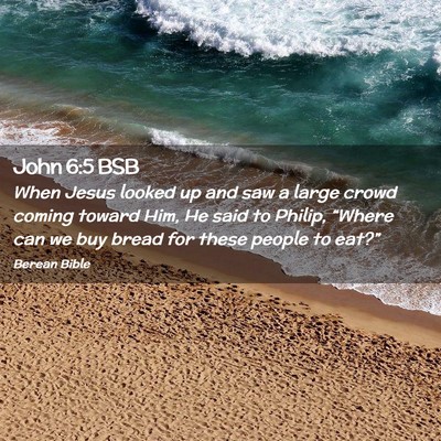 Picture 02 - John 6:5 BSB - When Jesus looked up and saw a large crowd coming - Bible Verse Picture