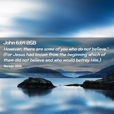 Picture 02 - John 6:64 BSB - However, there are some of you who do not - Bible Verse Picture