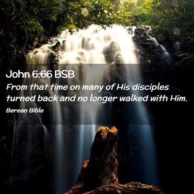 Picture 02 - John 6:66 BSB - From that time on many of His disciples turned - Bible Verse Picture