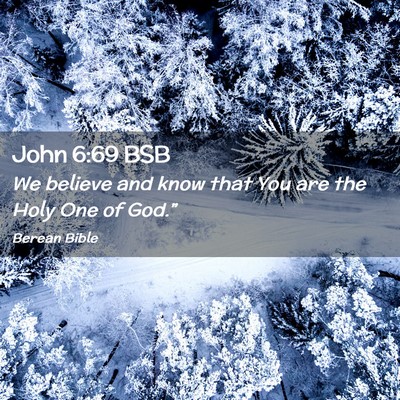 Picture 02 - John 6:69 BSB - We believe and know that You are the Holy One of - Bible Verse Picture