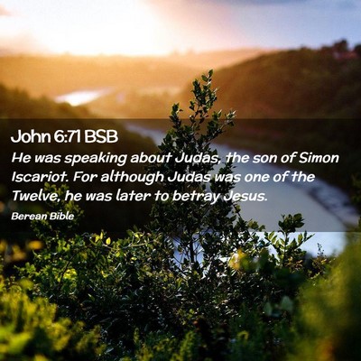 Picture 02 - John 6:71 BSB - He was speaking about Judas, the son of Simon - Bible Verse Picture