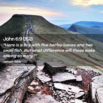 Picture 02 - John 6:9 BSB - “Here is a boy with five barley loaves and two - Bible Verse Picture