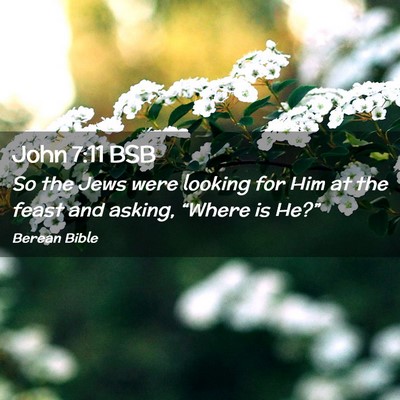 Picture 02 - John 7:11 BSB - So the Jews were looking for Him at the feast and - Bible Verse Picture