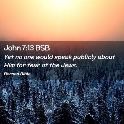 Picture 02 - John 7:13 BSB - Yet no one would speak publicly about Him for - Bible Verse Picture