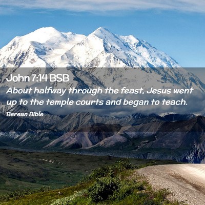 Picture 02 - John 7:14 BSB - About halfway through the feast, Jesus went up to - Bible Verse Picture