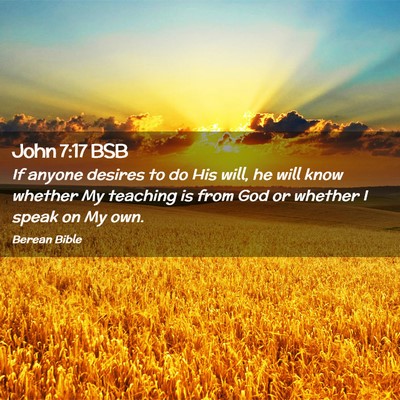 Picture 02 - John 7:17 BSB - If anyone desires to do His will, he will know - Bible Verse Picture