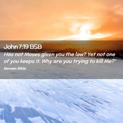 Picture 02 - John 7:19 BSB - Has not Moses given you the law? Yet not one of - Bible Verse Picture