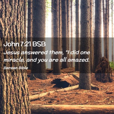 Picture 02 - John 7:21 BSB - Jesus answered them, “I did one miracle, and - Bible Verse Picture