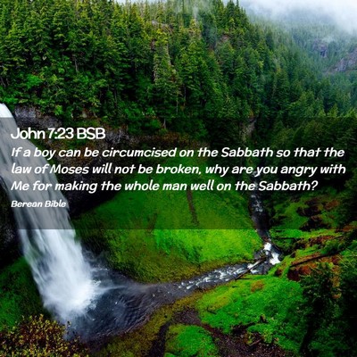 Picture 02 - John 7:23 BSB - If a boy can be circumcised on the Sabbath so - Bible Verse Picture