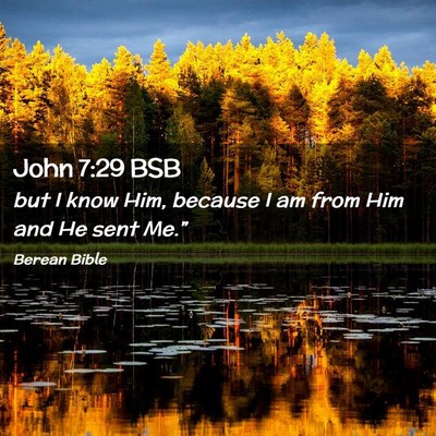 Picture 02 - John 7:29 BSB - but I know Him, because I am from Him and He sent - Bible Verse Picture