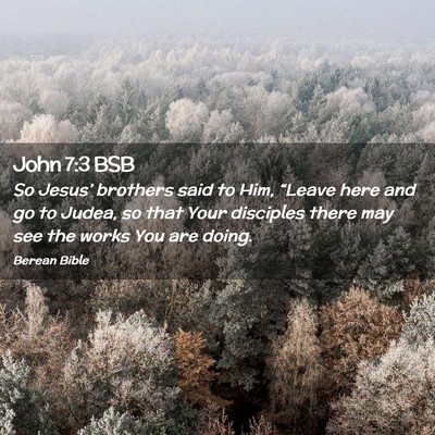 Picture 02 - John 7:3 BSB - So Jesus’ brothers said to Him, “Leave here - Bible Verse Picture
