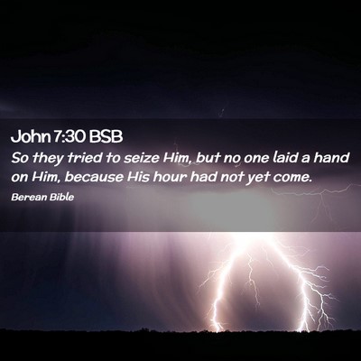 Picture 02 - John 7:30 BSB - So they tried to seize Him, but no one laid a - Bible Verse Picture
